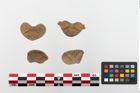 Foto von Knochenwirbel (NHMW-PRAE-023687a)